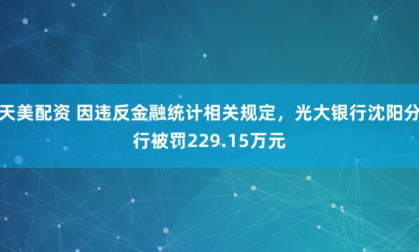 天美配资 因违反金融统计相关规定，光大银行沈阳分行被罚229.15万元