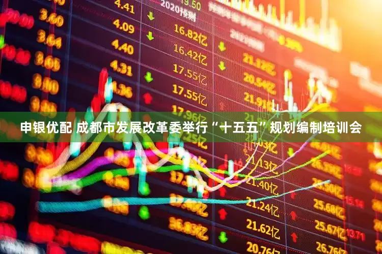 申银优配 成都市发展改革委举行“十五五”规划编制培训会