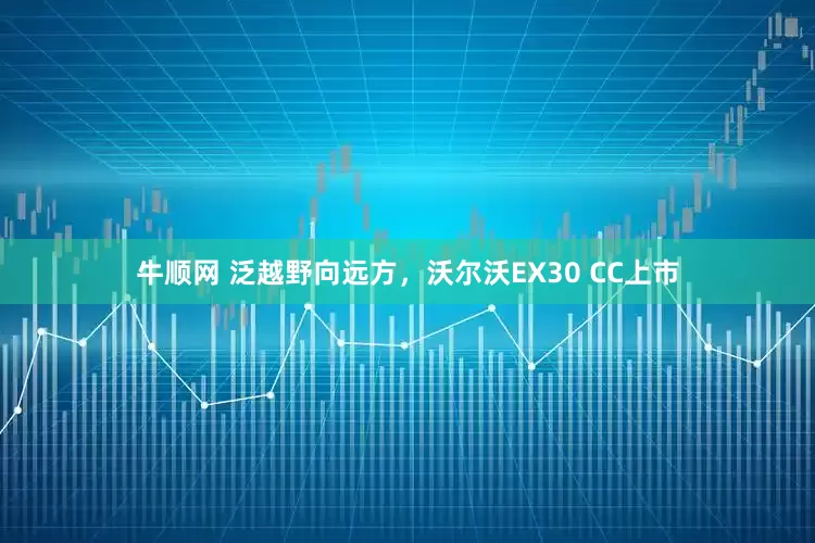 牛顺网 泛越野向远方，沃尔沃EX30 CC上市