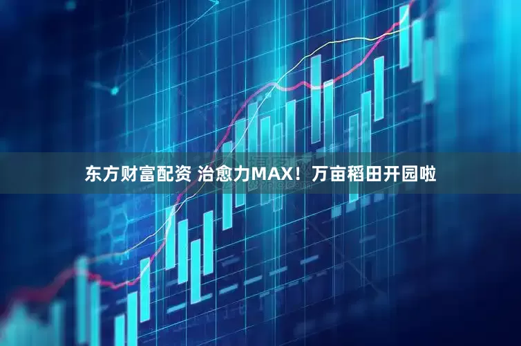 东方财富配资 治愈力MAX！万亩稻田开园啦
