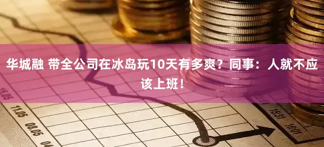 华城融 带全公司在冰岛玩10天有多爽？同事：人就不应该上班！