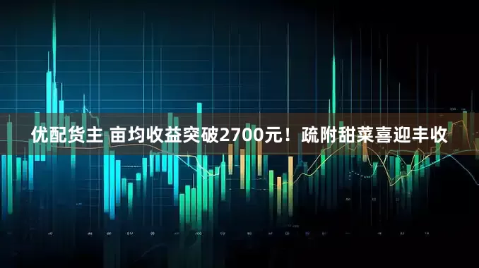 优配货主 亩均收益突破2700元！疏附甜菜喜迎丰收
