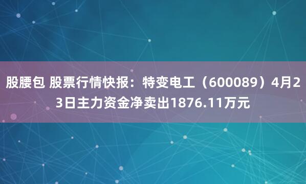 股腰包 股票行情快报：特变电工（600089）4月23日主力资金净卖出1876.11万元